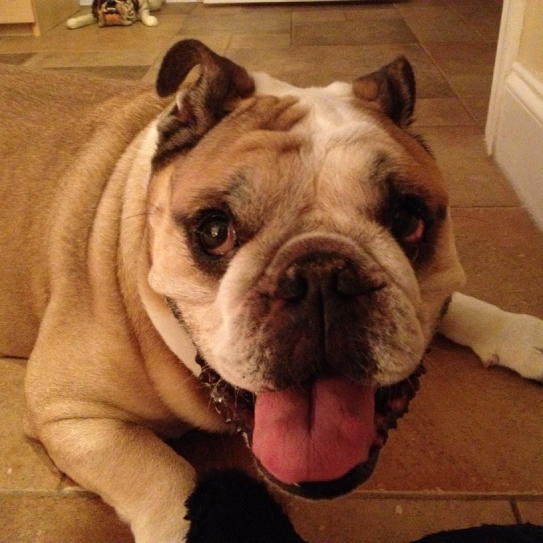 Lolita’s Literary Collection