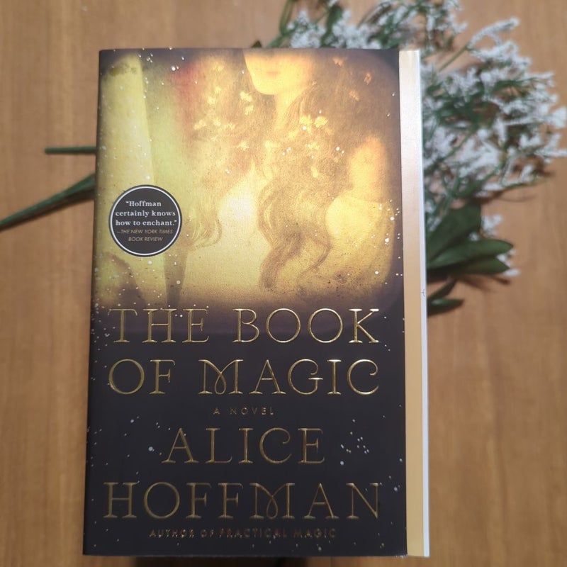 The Book of Magic