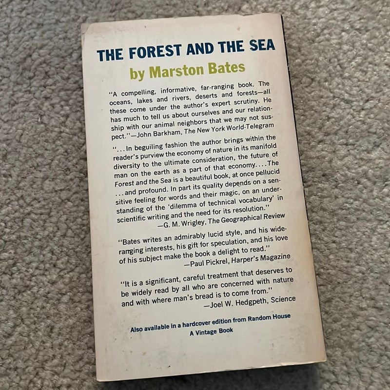 The Forest and the Sea