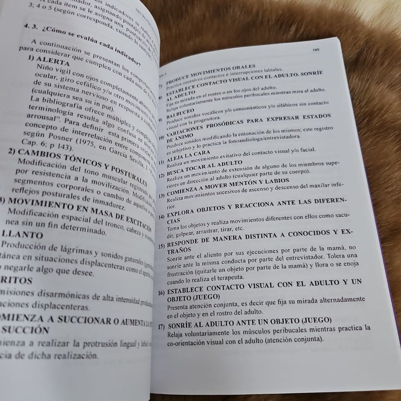 Neuropsicolingüistica