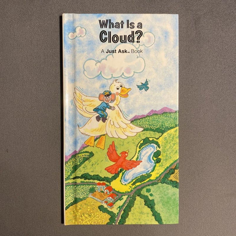 What Is A Cloud