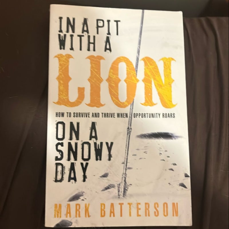 In a Pit with a Lion on a Snowy Day