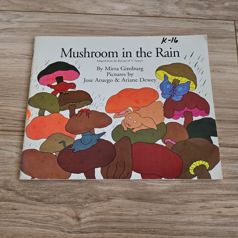 A Mushroom in the Rain