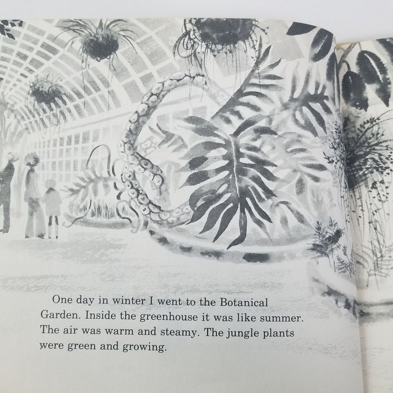 Plants in Winter 1973 (Let's Read And Find Out Science)