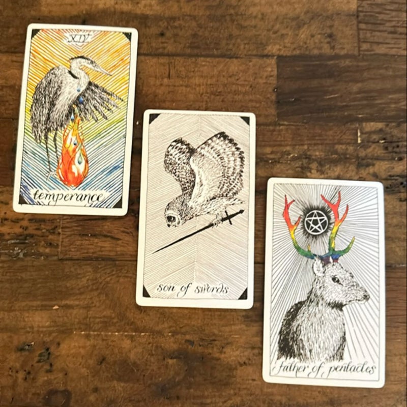 Wild Unknown Tarot