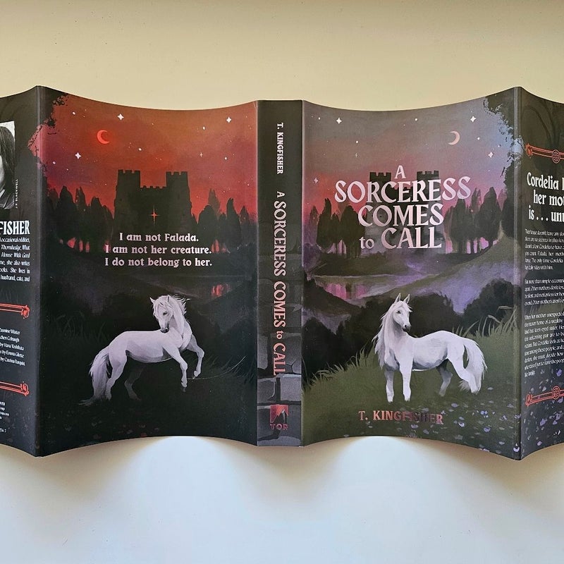 Owlcrate A Sorceress Comes To Call by T. Kingfisher FIRST Edition NEW