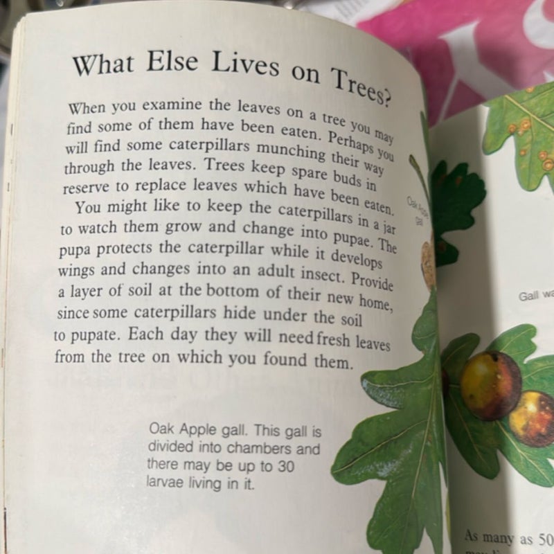 Trees and Leaves