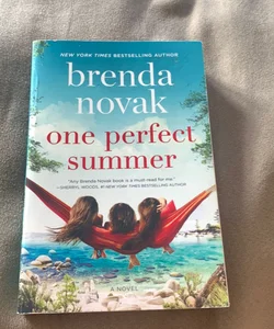 One Perfect Summer