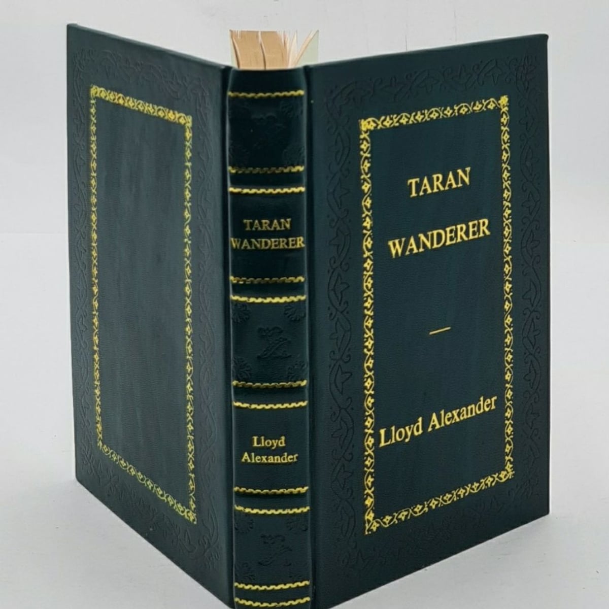 Taran Wanderer: The Chronicles of Prydain, Book 4 by Lloyd Alexander ...