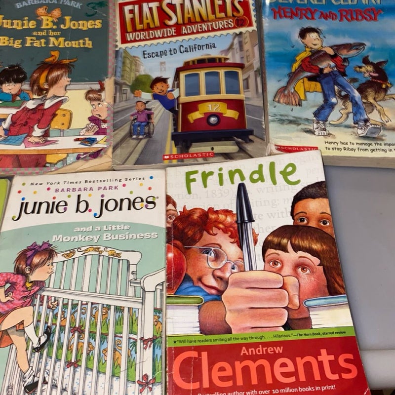 Julie B Jones and Flat Stanley Kids Book bundle