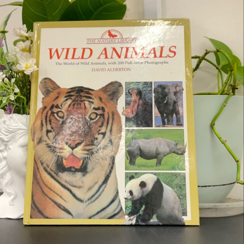 Wild Animals