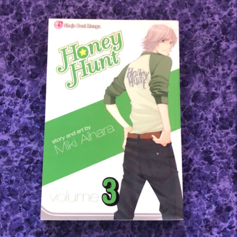 Honey Hunt, Vol. 3