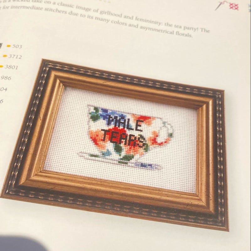 Feminist Cross-Stitch