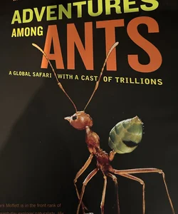 Adventures among Ants