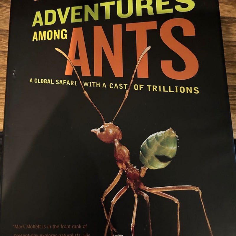 Adventures among Ants