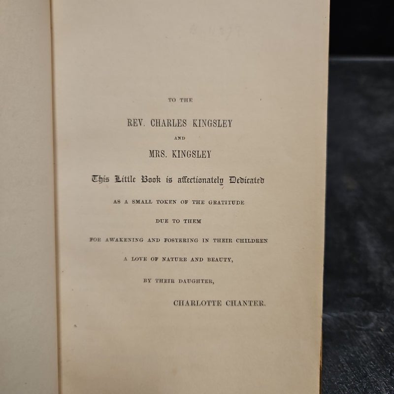 Ferny Combes: A Ramble After Ferns in the Glens and Valleys of Devonshire (PB370)
