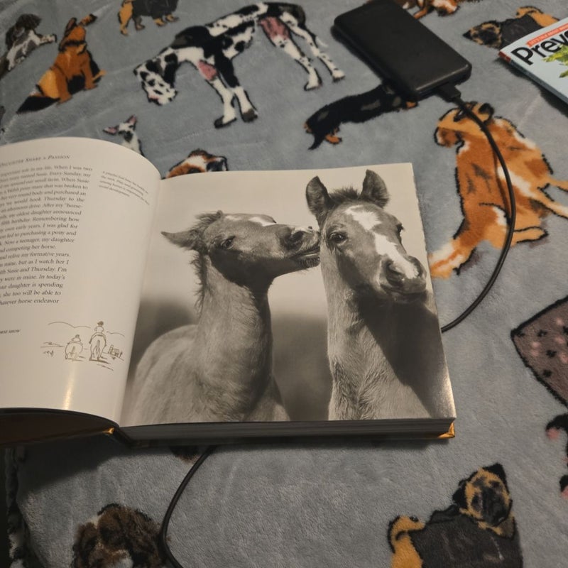 The Big Book of Horses