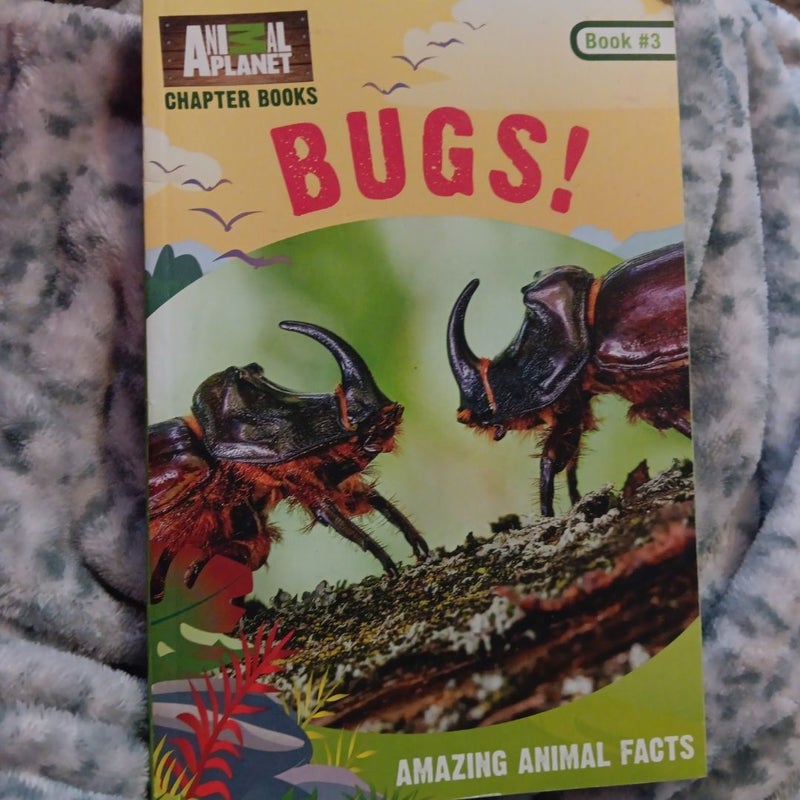 Bugs!