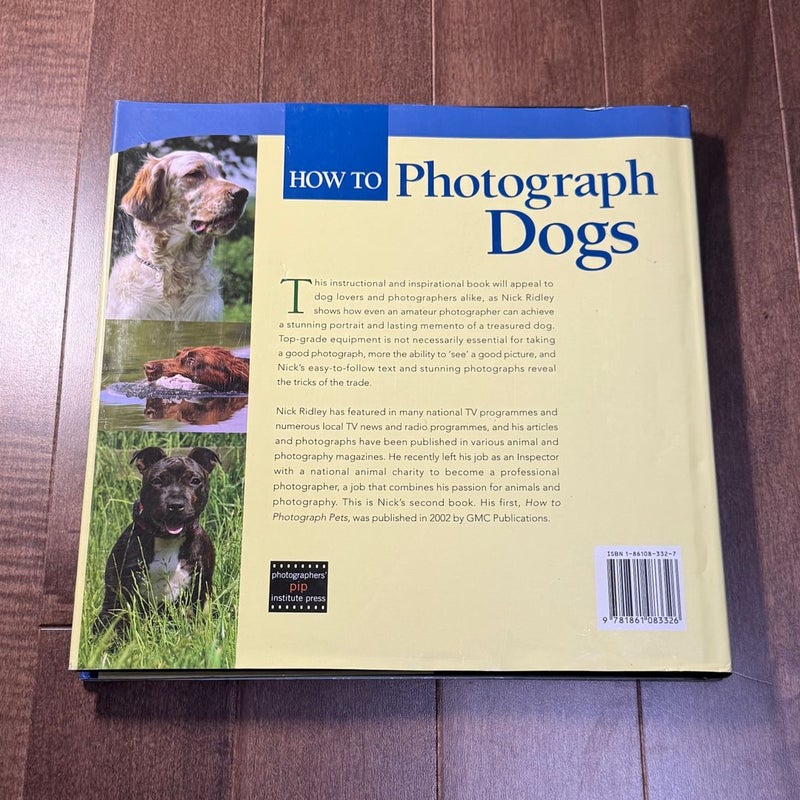 How to Photograph Dogs