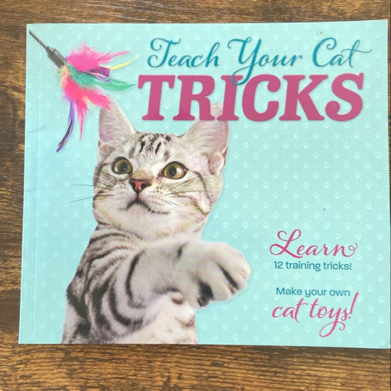 Teach Your Cat Tricks