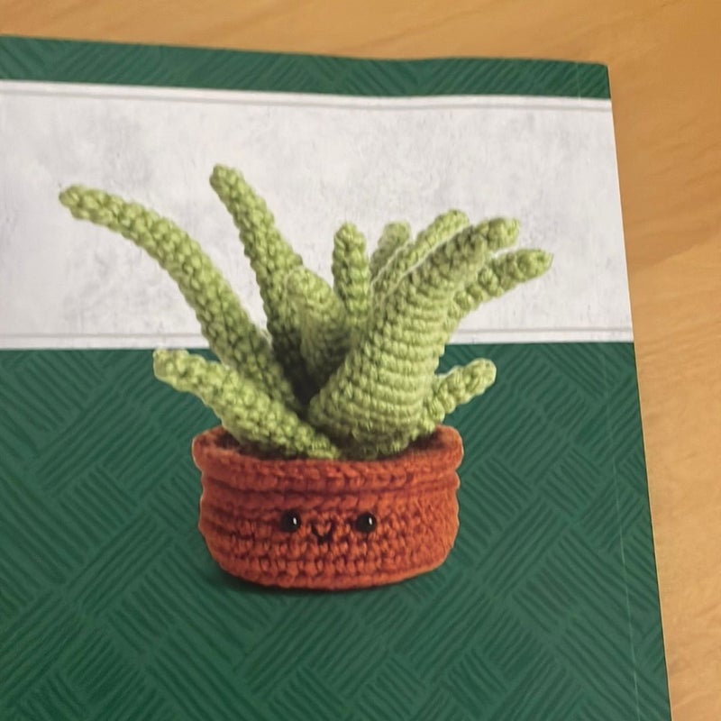 Cuddly Cacti Crochet