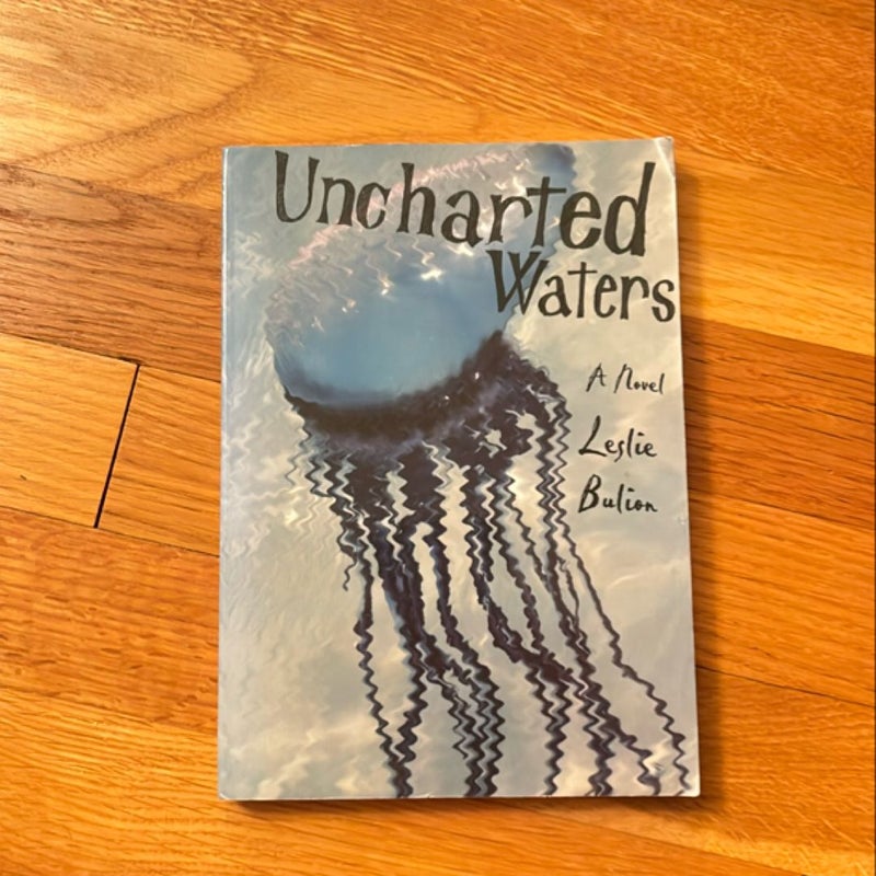 Uncharted Waters