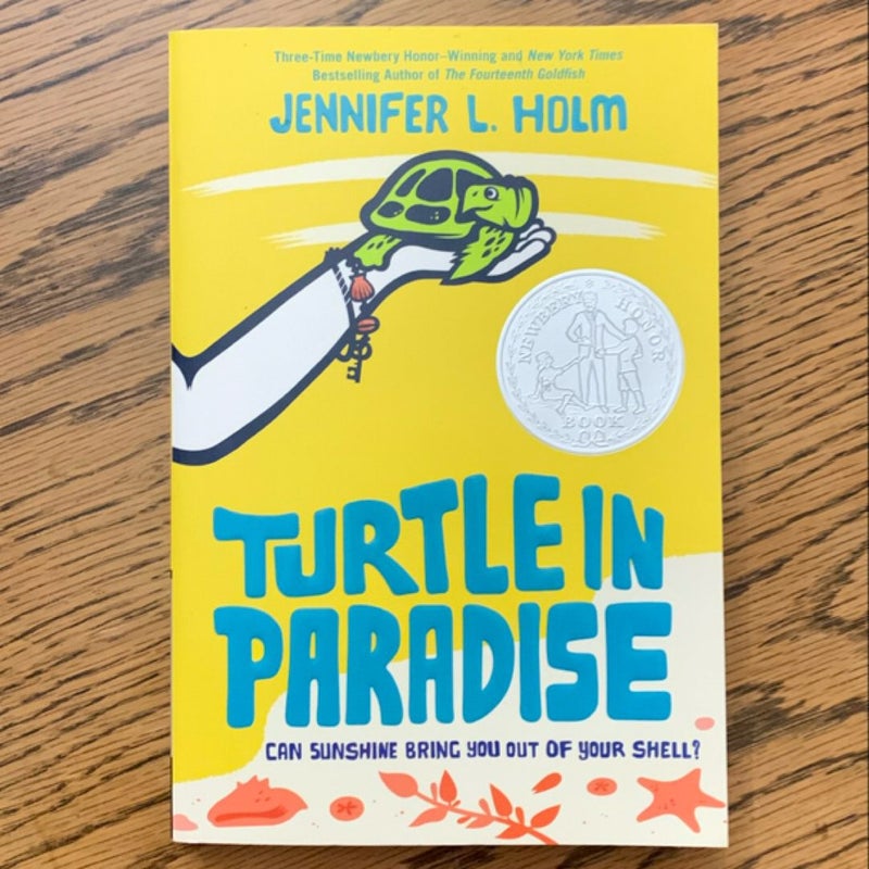 Turtle in Paradise