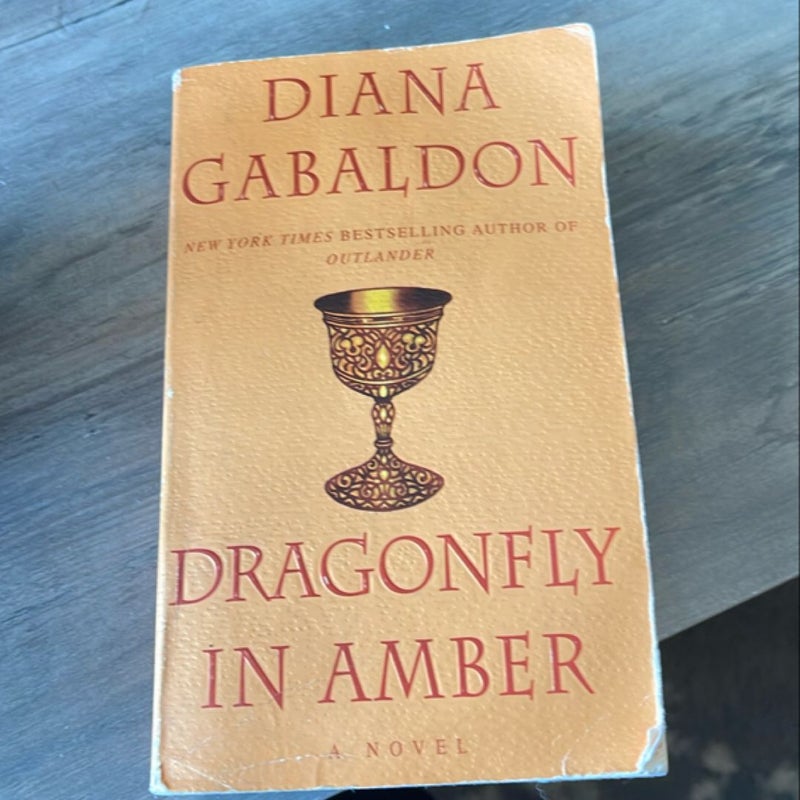 Dragonfly in Amber