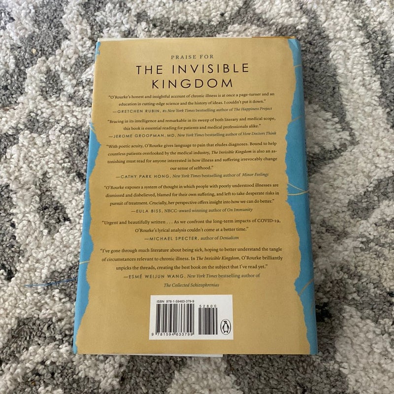 The Invisible Kingdom