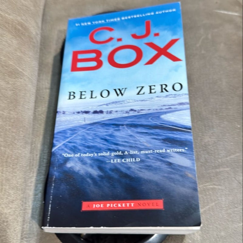 Below Zero