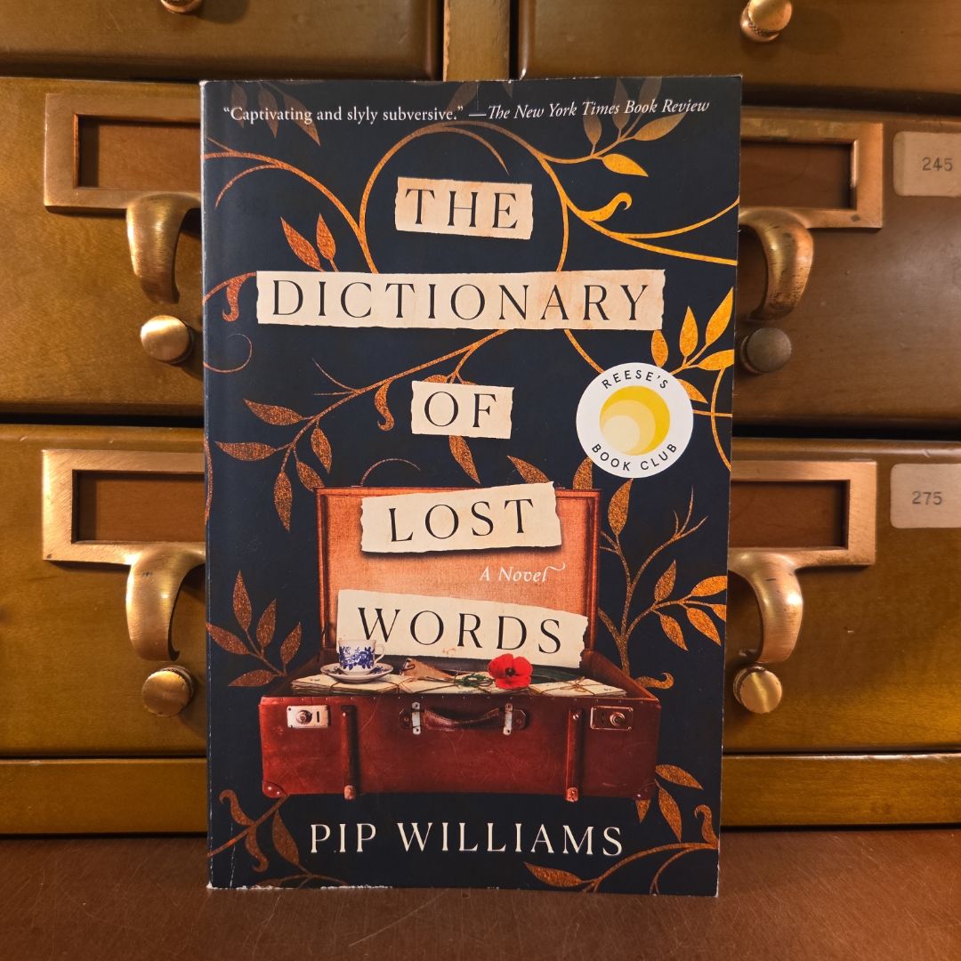 The Dictionary of Lost Words