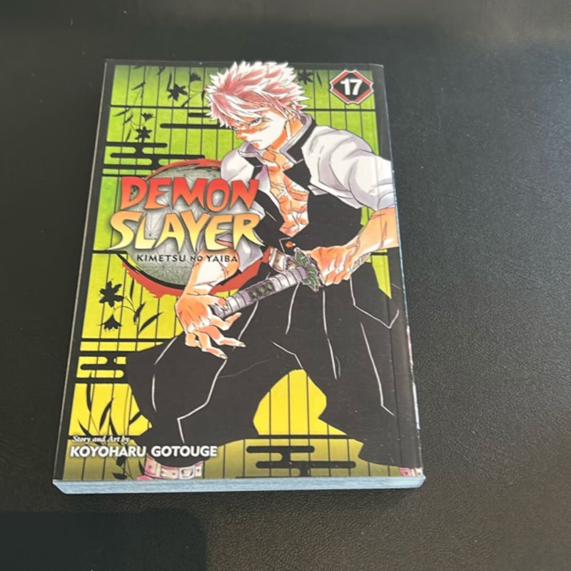 Demon Slayer: Kimetsu No Yaiba, Vol. 17