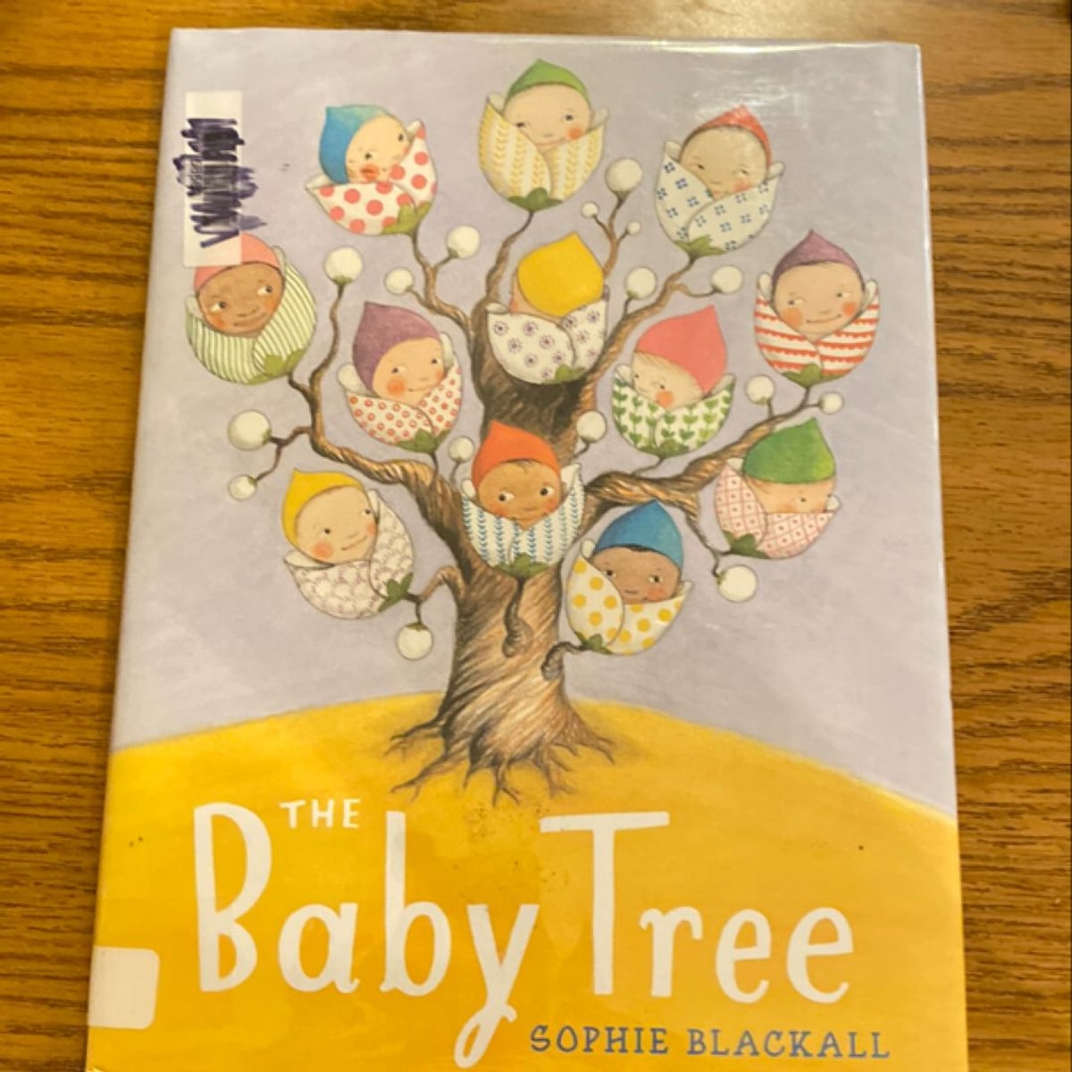 The Baby Tree by Sophie Blackall