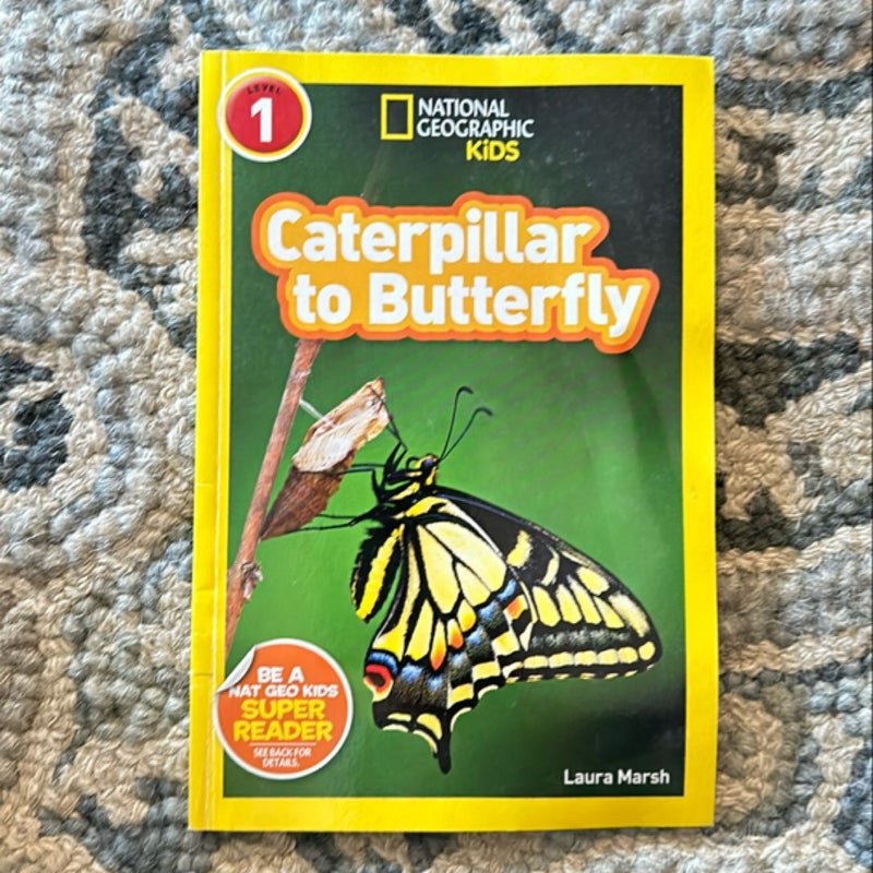 National Geographic Readers: Caterpillar to Butterfly