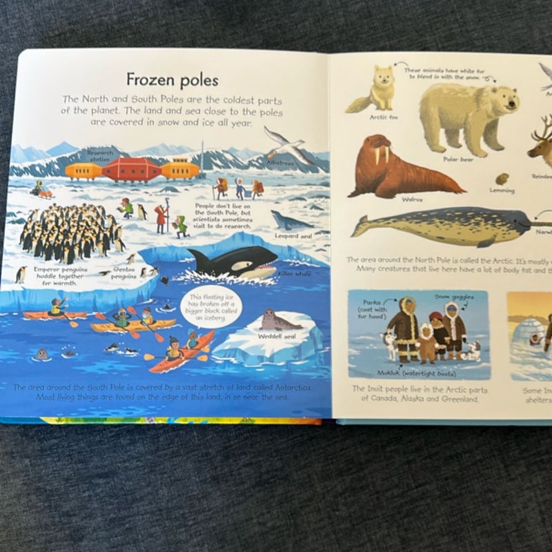 My Very First Our World Book IR