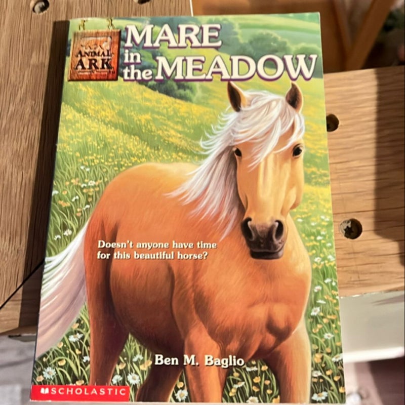 Mare in the Meadow