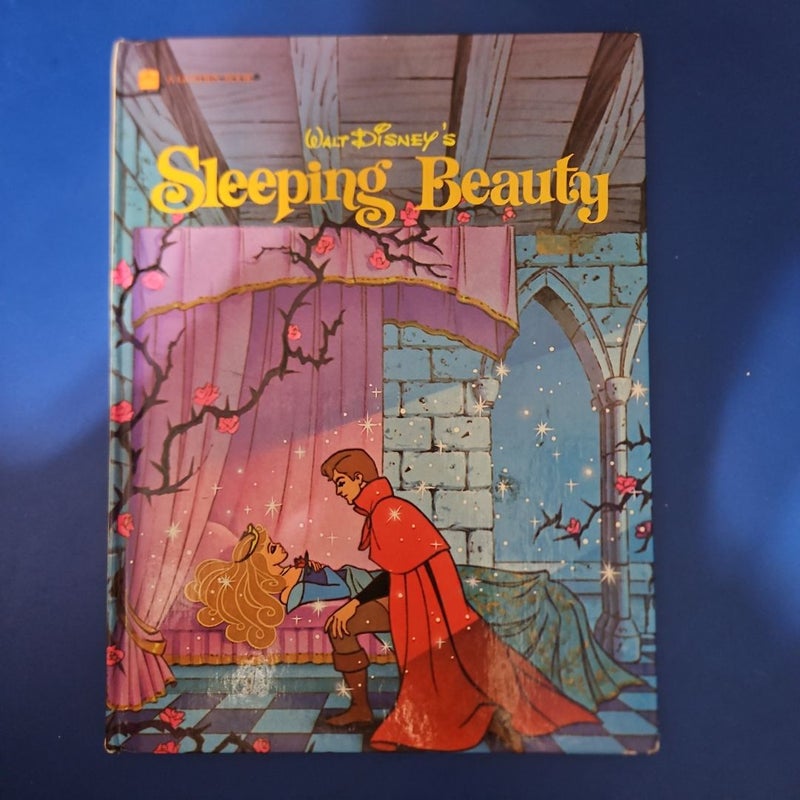 Sleeping Beauty (Disney Princess)