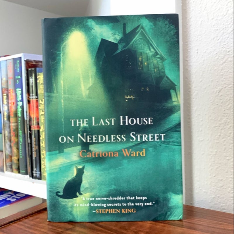 The Last House on Needless Street