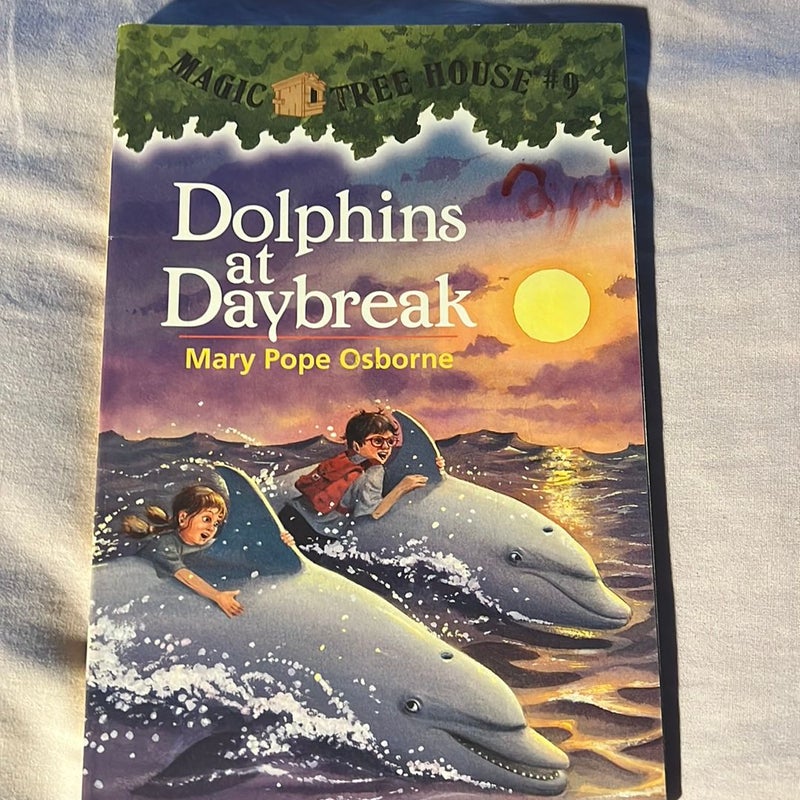 Dolphins at Daybreak