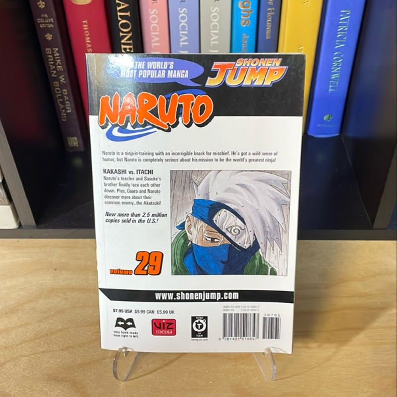 Naruto, Vol. 29