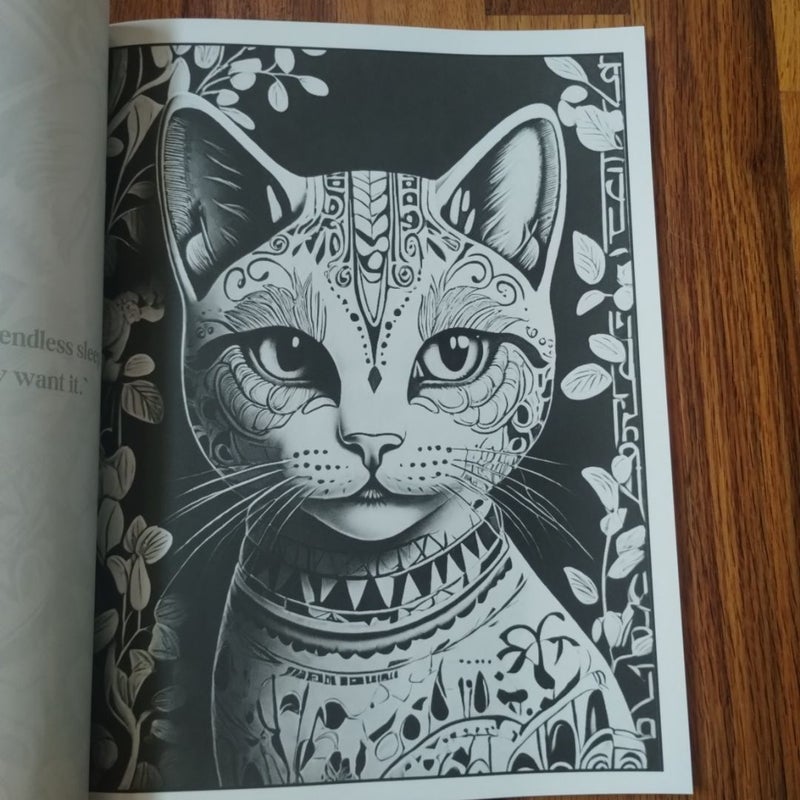 Mexican Cats A Cat Lover's Coloring Book