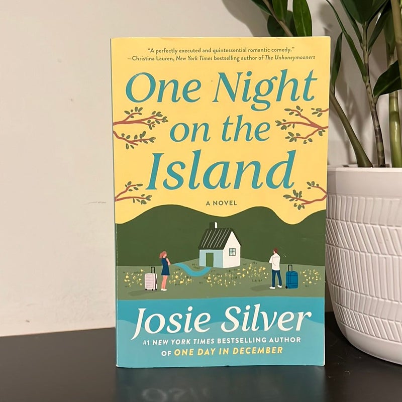 One Night on the Island