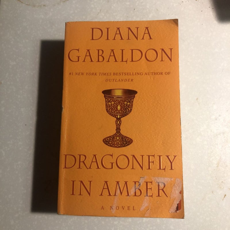 Dragonfly in Amber