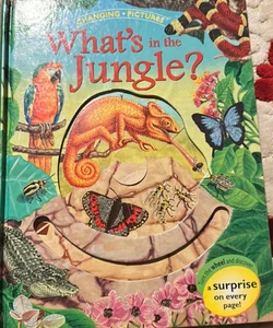 What's in the Jungle?