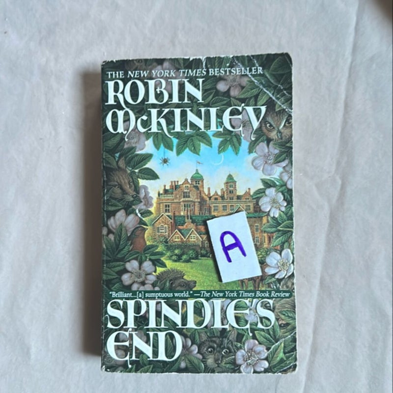 Spindle's End