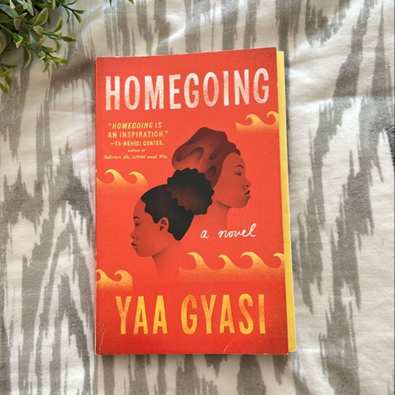 Homegoing