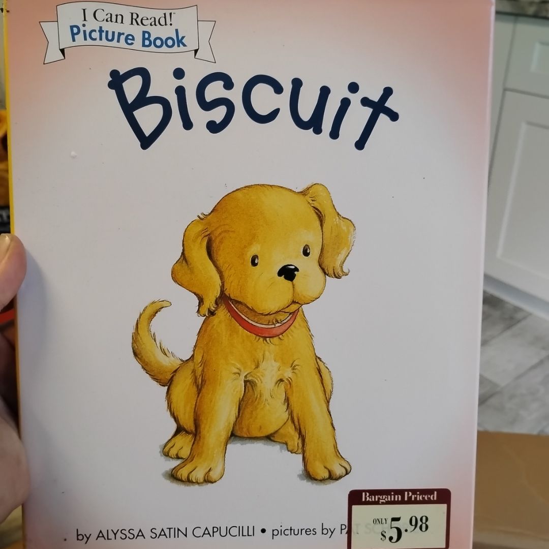 Biscuit