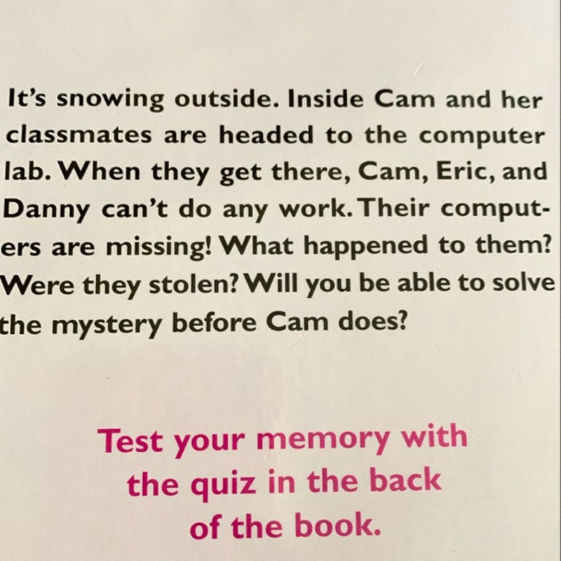 Cam Jansen and the Snowy Day Mystery