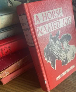 A Horse Named Joe