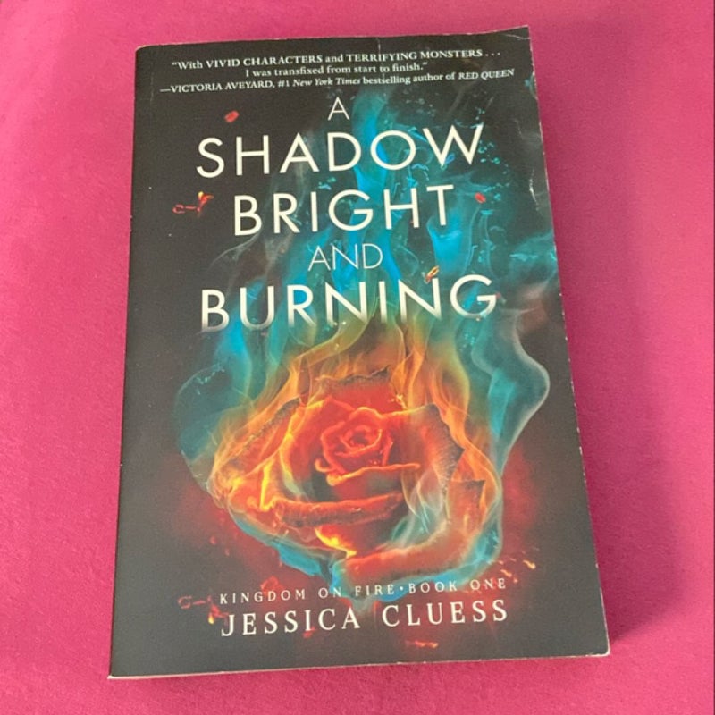 A Shadow Bright and Burning (Kingdom on Fire, Book One)